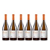 Vino blanco del Bierzo de variedad 100% godello