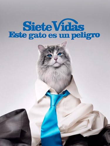 Sietes vidas, este gato es un peligro