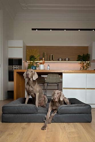 Image of NOAH & PAW Giant Dog Bed XXL, 55x45x11 Inch, Orthopedic Dog Beds, Eggshell Memory Foam Infused with Cooling Gel, Inner Cover, Water Resistant, Machine Washable (Faux Leather)