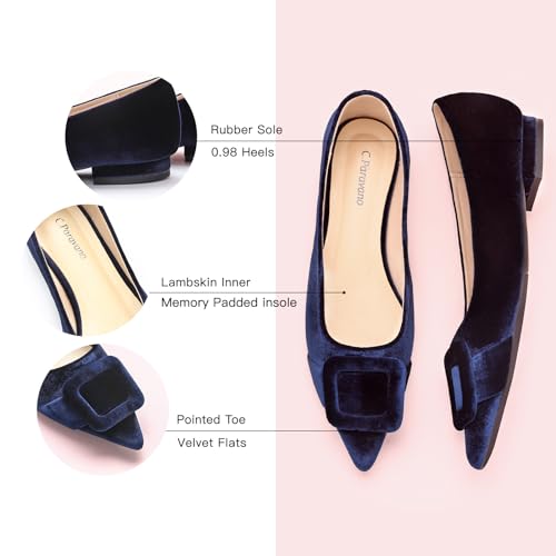 Image of C.Paravano Velvet Flats | Women's Pointed Toe Shoes | Dressy Flats for Women | Designer Shoes