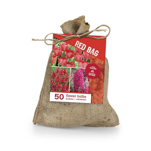 Bloomique – 50er-Mix – Die rote Tüte – Roter Mix – Tulpen, Hyazinthen, Ixia – Blumenzwiebeln – Frühlingsblüher – Mehrjährige Pflanzen