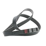 RIDEX