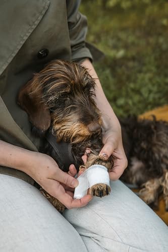 Erste-Hilfe-Set für Hunde - Verbandskasten mit First Aid Balsam und Silberspray, Verbandsmaterial, Wundkompresse und Heftpflaster-Rolle, FIRST AID BOX von LILA LOVES IT