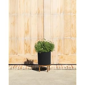 Veradek Demi Series Round Planter w/ Stand for Porch/Patio | Durable Plastic-Concrete & Wooden Stand | Modern Décor for Tall Plants, Flowers Veradek Demi Series Round Planter w Stand for PorchPatio Durable Plastic Concrete Wooden Stand Modern Decor for Tall Plants Flowers