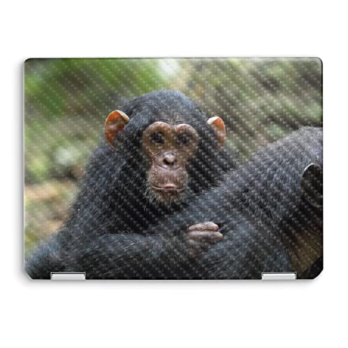 Image of MightySkins Carbon Fiber Skin Compatible with HP Spectre x360 14 inch (2022) Full Wrap Kit - Baby Chimp | Protective, Durable Textured Carbon Fiber Finish | Easy to Apply | Made in The USA