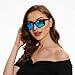 B.N.U.S Retro sports sunglasses for men women fashion blue mirrored lenses (B7066 Black/Blue Flash Non-Polarized, Glass Lens)