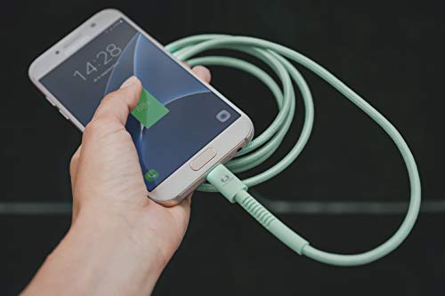 Fresh 'n Rebel Apple Lightning Fabriq Cable |