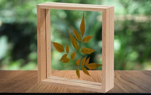 Image of Desi Rang Wooden Rectangular Frame For Wall Decor Table Top Hanging Any Green Or Dry Plant Leaf Picture Photo DIY Gift Home Decoration (Wood,Sqr,12X12Inch,With Dry Leaf)