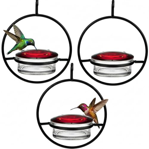 Mosaic Birds Hummble Slim Glass Hummingbird Feeder 3.4 oz Capacity Clear Recycled Glass Hanging Feeder| for Garden Pack of 3
