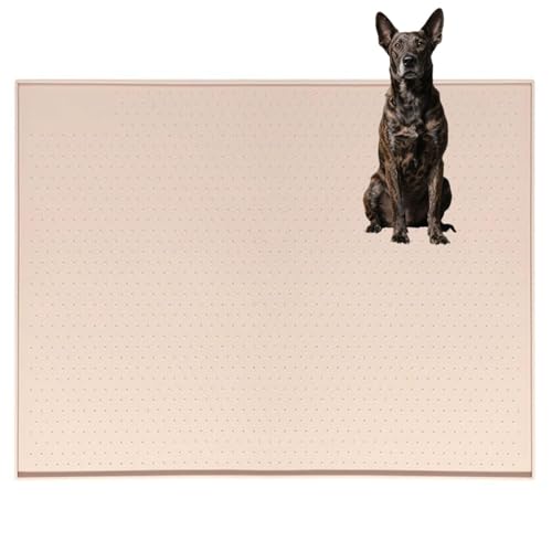 Lifetips b㌢iKai Kenj gC}`FX^[eA ybggC}bg VR h ~ 􂦂  L V[gh~ g[p t[Oی ybggC}bg VR}bg ΍ gCV[gŒ h