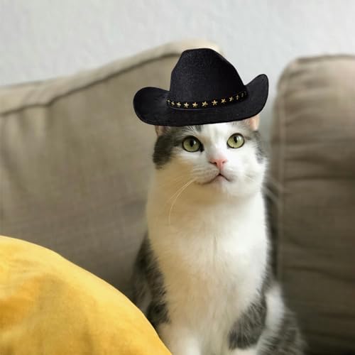 Awocan 01 Dog Cowboy Hat Cat Cowboy Hat Pet Cowboy Costume Mini Cowboy Hat thumb #3