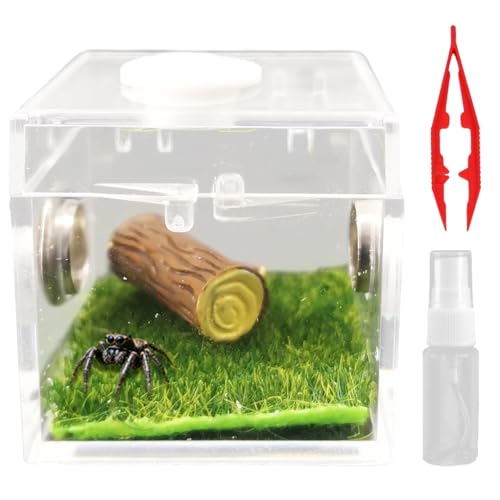 ~jw偎P[X AN^`{bNX ^`P[X w偗p Ҍ X^C5