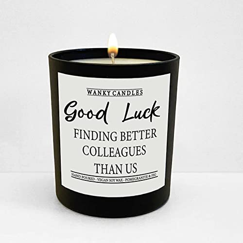 Wanky Candle - Good Luck Finding Better Colleagues, White, 8 x 9 cm