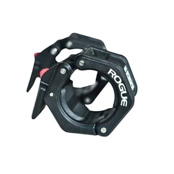 ROGUE 20kg バーベルプレート 1枚 Gouryella ROGUE バーベル