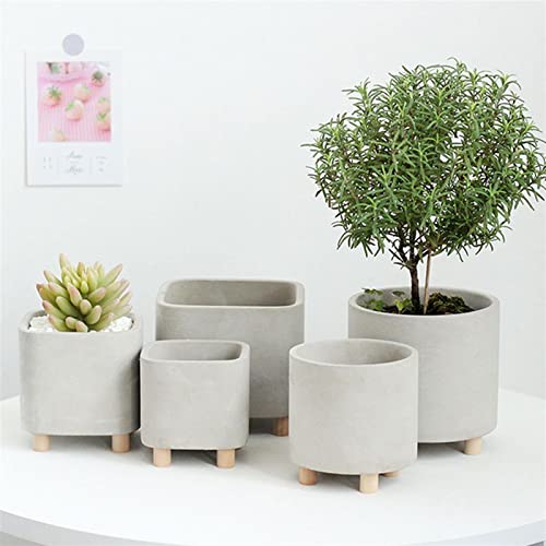 Petite plante en pot stable contre les chutes - 8