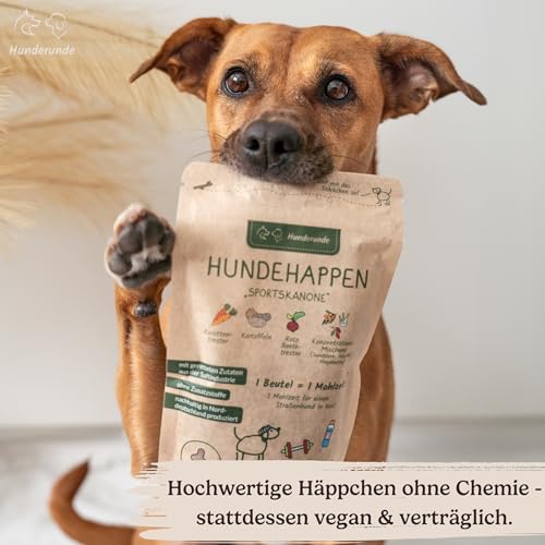 Hunderunde – Hundehappen Schlafmütze 3×125 g – vegane Hundeleckerli mit Hanf, Baldrian & Kamille – reich an B-Vitaminen – glutenfrei & beruhigend – ideal für Sensible Hunde – entspannende Hundesnacks