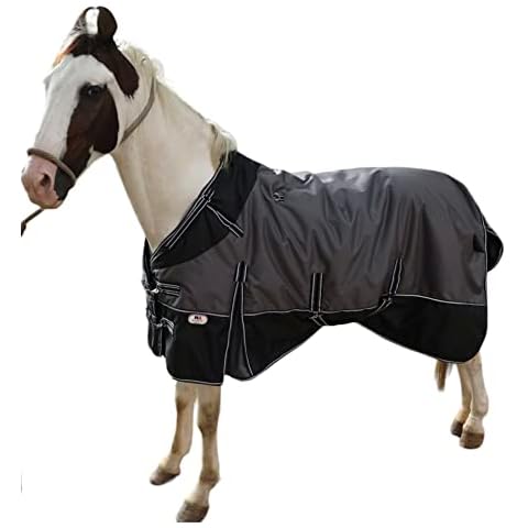 Majestic Ally 600 D Ripstop Nylon Horse Turnout Blanket with Waterproof, Heavyweight Coverage, Rain and Weather Resistant for Fall, or Cold Winter Weather, 250 GSM Fill Dark Gray Black, 76 - Inch Cover