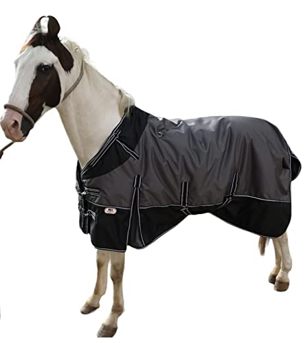 Majestic Ally 600D Ripstop Horse Turnout Blanket 250 Gsm Filling (Dark Gray Black, 74 - Inch) #TOP1