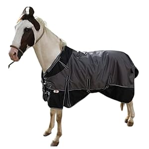 Majestic Ally 600 D Ripstop Nylon Horse Turnout Blanket with Waterproof, Heavyweight Coverage, Rain and Weather Resistant for Fall, or Cold Winter Weather, 250 GSM Fill Dark Gray Black, 76 – Inch