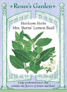 Basil - Mrs. Burns Lemon Seeds Basil - Mrs. Burns Lemon Seeds