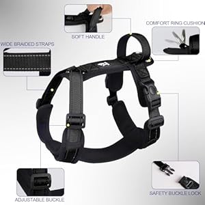 Patas-Lague-No-Pull-Dog-Harness-for-Large-Dogs-Soft-Adjustable-Step-in-No-Choke-Dog-Harness-and-Leash-Set-Reflective-Solid-Dog-Vest-Harness-with-Buckle-Lock-Black-XL - Cucciolini Doodles Patas-Lague-No-Pull-Dog-Harness-for-Large-Dogs-Soft-Adjustable-Step-in-No-Choke-Dog-Harness-and-Leash-Set-Reflective-Solid-Dog-Vest-Harness-with-Buckle-Lock-Black-XL