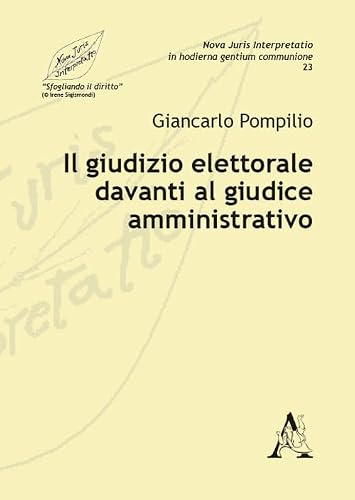 Il giudizio elettorale davanti al giudice amministrativo