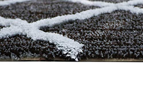 Image of THE HOME TALK Modern Polyester Area Rugs | Carpets for Living Room, Kitchen, Kid's Room, Bedroom | Microfiber Polyester Rugs | Shaggy Floor Carpet | Anti Skid Store (Brown & Grey, 50 x 150 cm)