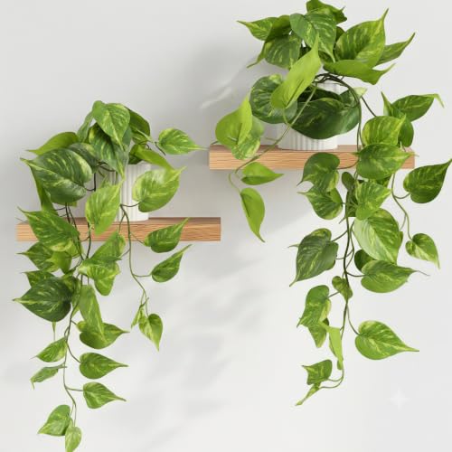 WucaFl 2 Pack Fake Pothos Plants in White Pots, Artificial Hanging Plants Potted Faux Vines Golden Pothos Greenery for Indoor Home Office Bathroom Shelf Cabinet Tabletop Decoration