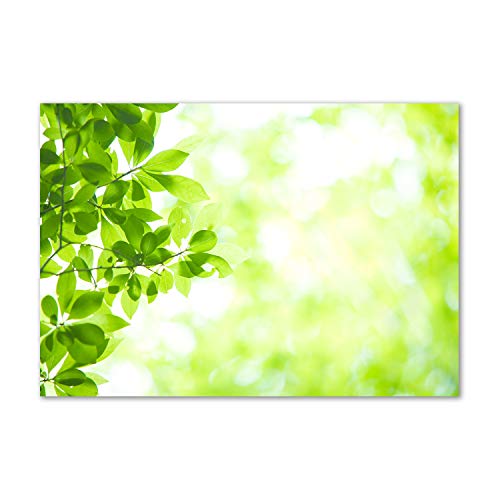 Fond de hotte en verre 100x70cm splashback guard vert motif plantes et fleurs