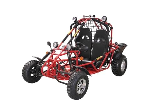 Spider 200cc Go Kart, Off-Road Racing Buggy with Roll Cage,