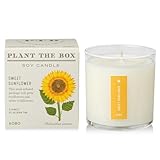 KOBO Sweet Sunflower Candle with Plantable Box (9 oz) | Plant The Box Collection, 100% Pure Soy Wax Candles | Hand-Poured in USA | Long Lasting 60 Hour Burning Candles | Scented Candles for Home