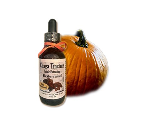 Tintura de Chaga Triple Extracto de Icecube con Semillas de Calabaza