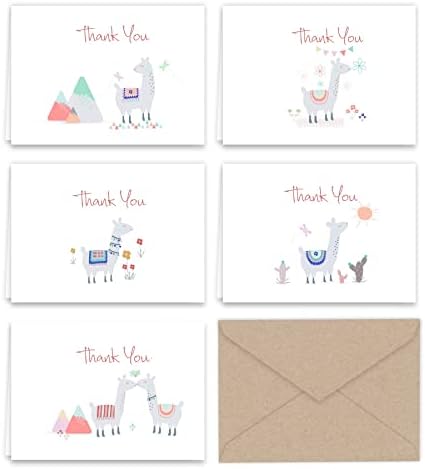 Paper Frenzy Llama Thank You Note Cards and Kraft Envelopes -- 25 pack