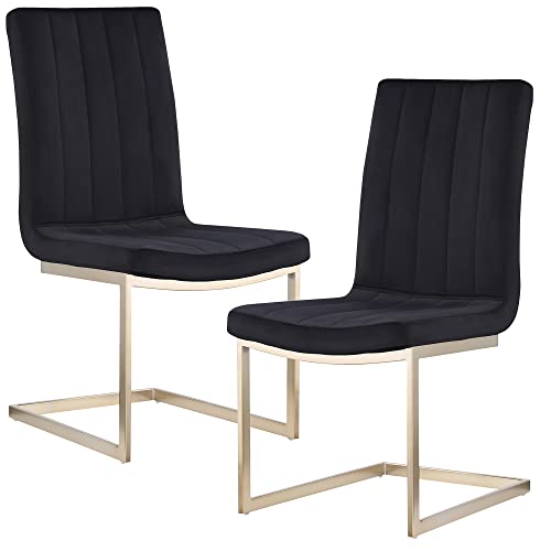 Woker Furniture Dining Chairs Gold Legs Modern Set Of 2,Velvet Solid Back Chairs Metal Legs Armless Side Chairs For Living Room Dining Room Modern Style Kitchen Chairs With Brushed Polished Legs Black #TOP2