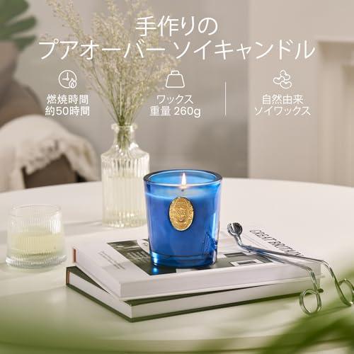 M&SENSE アロマキャンドル サマーズナイト 260g