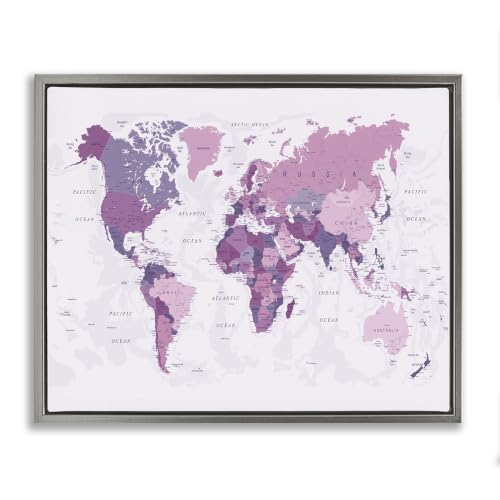 Detailed Pink World Map, 25 x 31 Inch Canvas in Floater Frame