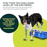 Ball Dynamics FPK9BONE BL K9FITbone, Balance - Trainingsgerät, 58 x 29 x 10m, himmelblau