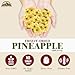 Himalayan Chef Freeze-Dried Fruit – 15g Freeze-Dried Pineapple, 10 Bags | Healthy, Organic Fruits Snacks for Kids & Adults | Baby Snacks, Gluten-Free Drieds Fruit