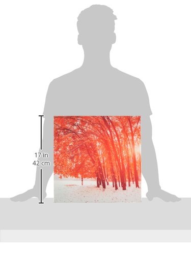 Asir Group LLC Malerei, Bunt