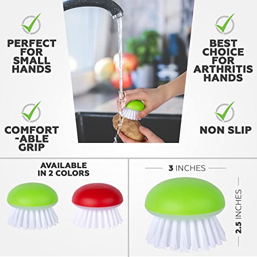 Vegetable Brush Scrubber For Food – 2Pcs Set Fruit And Veggie Brush – Silicone Top And Ultra-Strong Bristles Potato Scrubber – Palm Held Ergonomic Design – Easy To Clean – Red And Green #TOP1