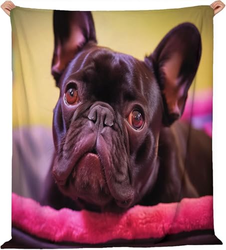 Flanell Kuscheldecke 130x170 cm Französische Bulldogge Decke Flauschig Hund Wohndecken Fleecedecken Weiche Warme Decken für Sofa, Couch und Bett A-0275