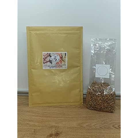 Blue Oyster Mushroom Spawn/Seed, Foragers Table 250g Heat Sealed Bag (Pleurotus ostreatus) Cover