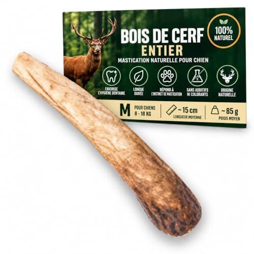 Bois de cerf pour Chien a Macher Entier (1 pièce). Friandise pour Chiots et Chiens de Tout âges. Jouet Occupation. Jouet de Mastication. Soins Dentaire idéal (M)