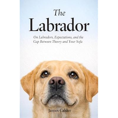 The Labrador