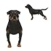 Produktbild Zerodis Rottweiler Figur Spielzeug lebensechte Simulation Rottweiler Modell Ornamente Tischdekoration pädagogisches Geschenk für Kinder Jungen und Mädchen