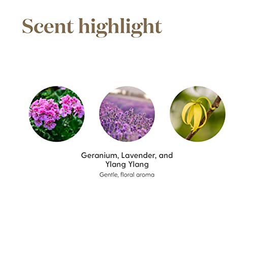 Gentle Baby 5Ml Essential Oils By Young Living Essential Oils #TOP4