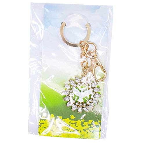 Chaveiro Espírito Santo Detalhes Transparente 3.6cm