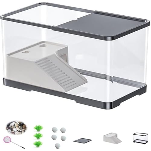 Kwueiit {TATAWtA[@\AȒPa֗AyʁAāAT̒Eoh~AT̊yATArEϋv঒ށAޗpTn360°ώ@ (KF)