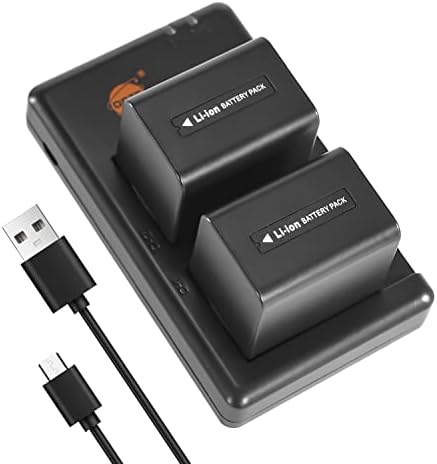 2 Batteries PS-BLS1 2100mAh/7.4V + Chargeur Double USB Pour Olympus E-400, E-PL1, E-P3, Etc. - Compatible BLS-1