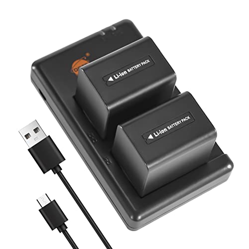 DSTE 2PCS NP FV70 Batería de Cargador (2600mAh/7.4V) Compatible con Sony DCR SX45 DCR SX63 DCR SX65 DCR SX83 DCR SX85 HDR CX115